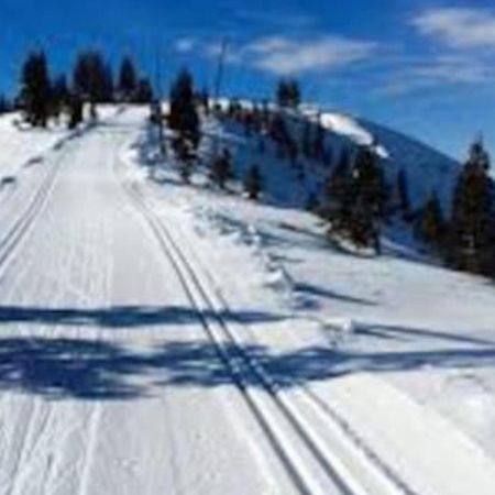 Moosetrack By Avantstay Cozy Cabin In The Of Tahoe Donner W Hot Tub Тракі Екстер'єр фото