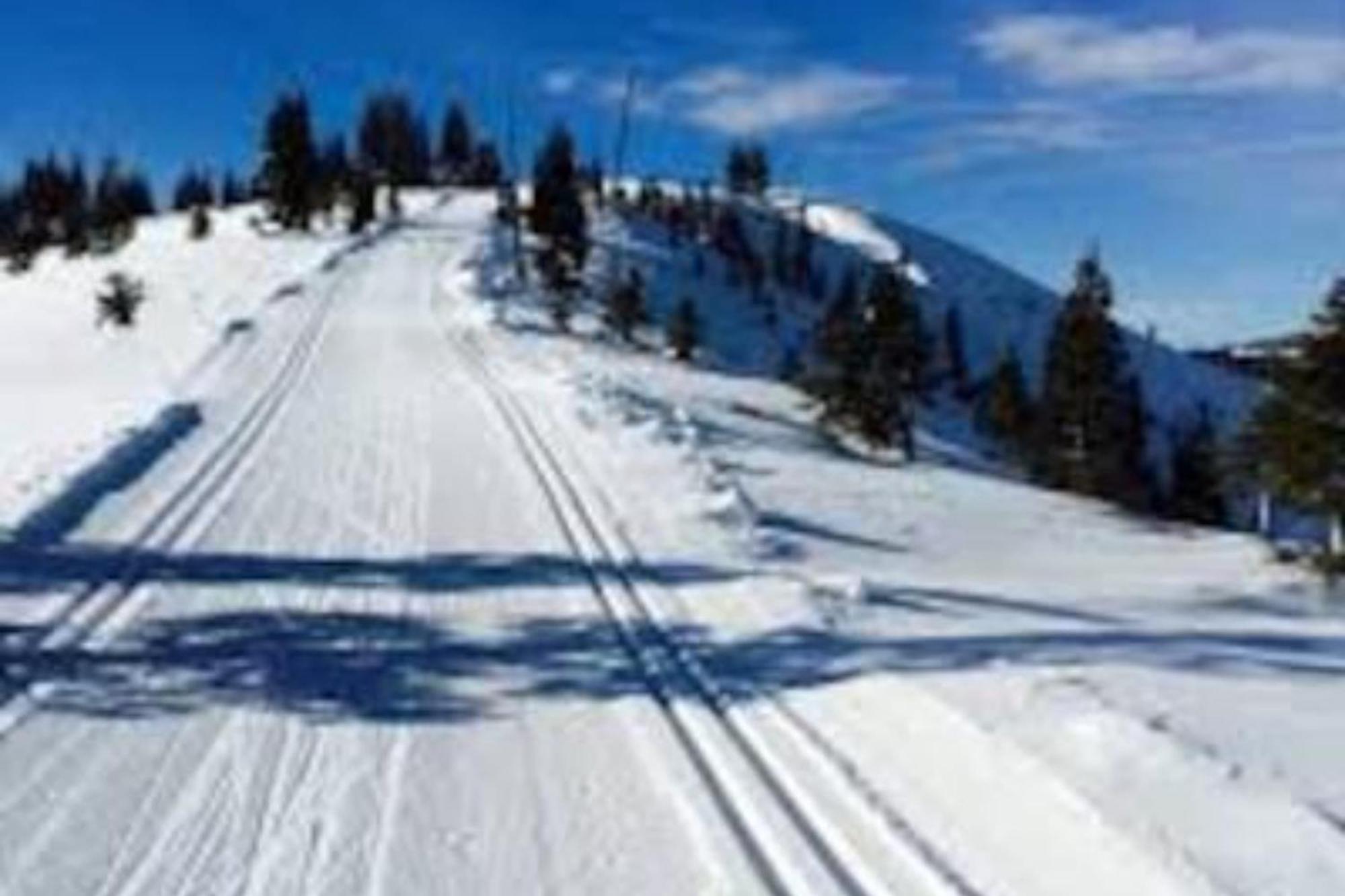 Moosetrack By Avantstay Cozy Cabin In The Of Tahoe Donner W Hot Tub Тракі Екстер'єр фото